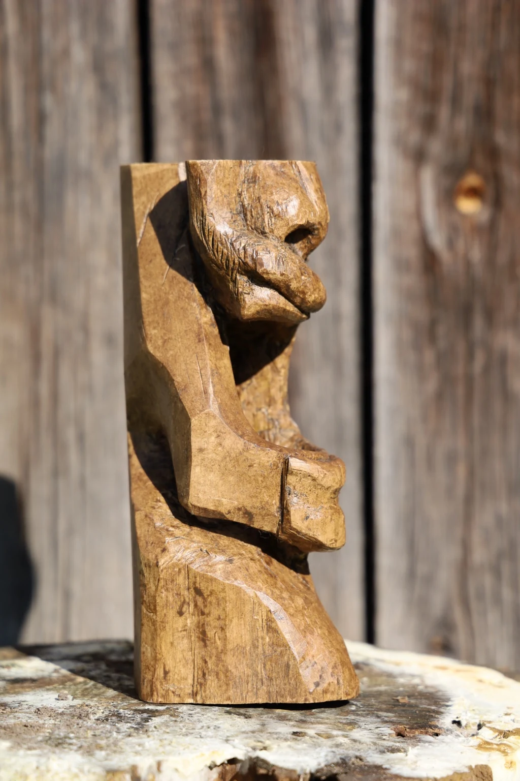 A side profile of the Almayer sculpture against a wooden wall.