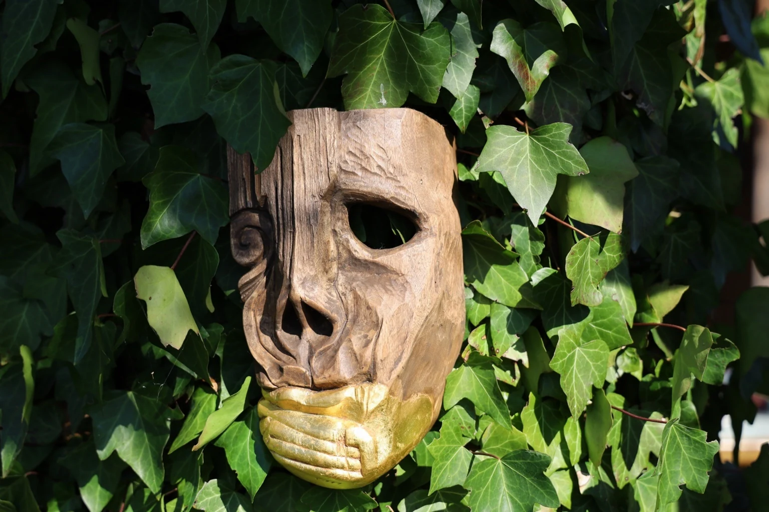 Kurtz among ivy leaves.